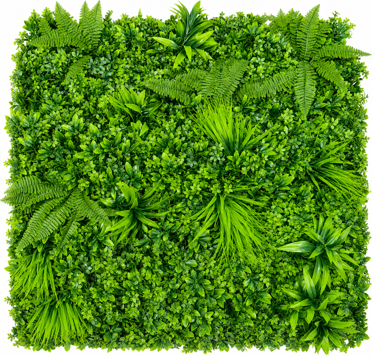 MUR VEGETAL : Nature Luxe Vert