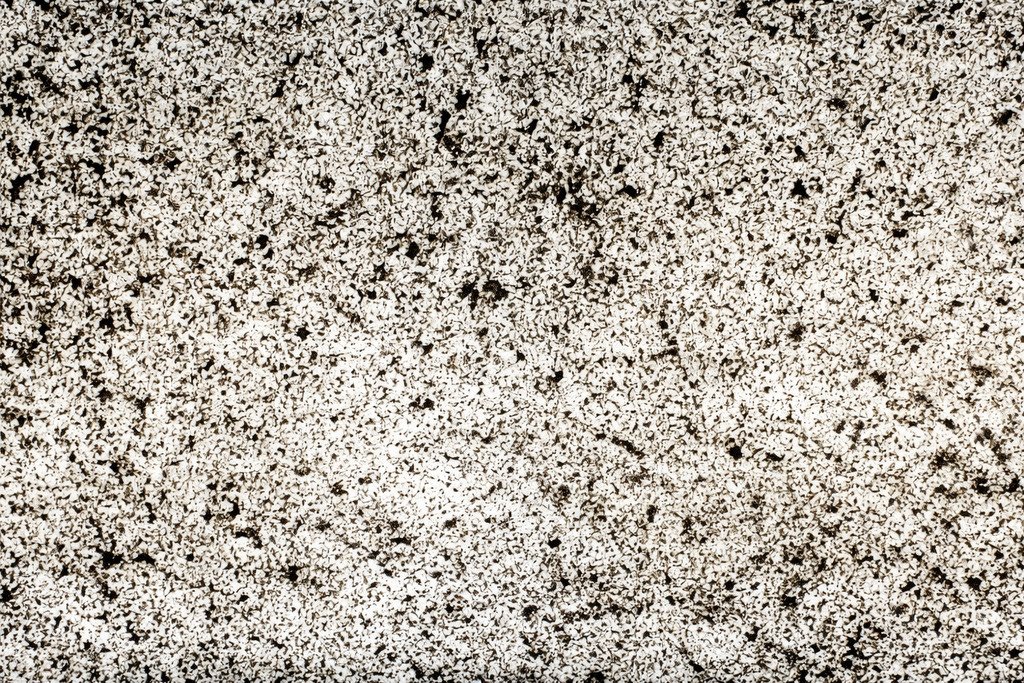 Feuille de pierre Translucide 100% naturelle Cervin 201