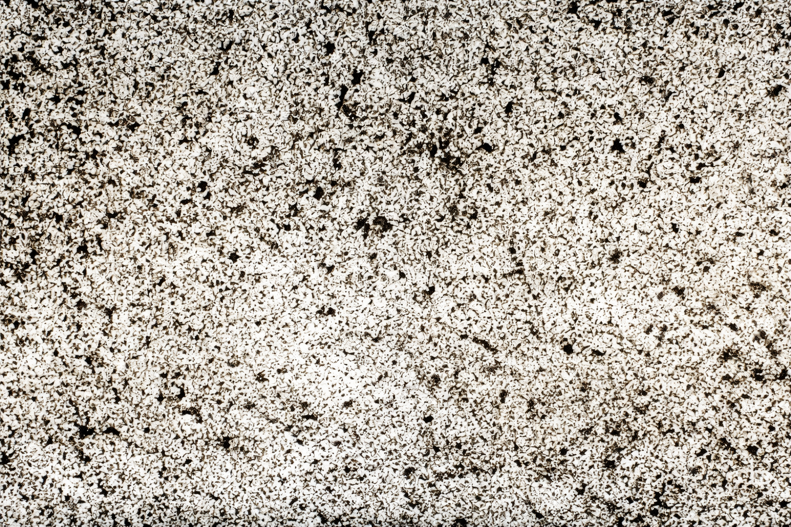 Feuille de pierre Translucide 100% naturelle Cervin 201