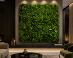 MUR VEGETAL : Nature Luxe Vert