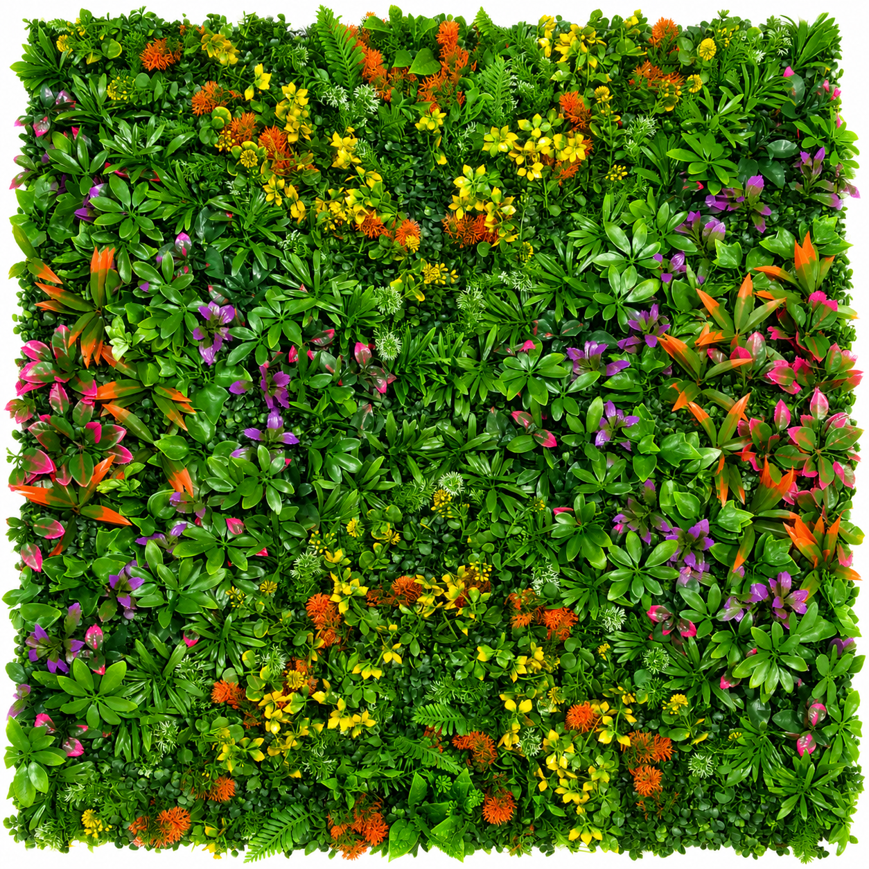 MUR VEGETAL : Urban Jungle Prestige