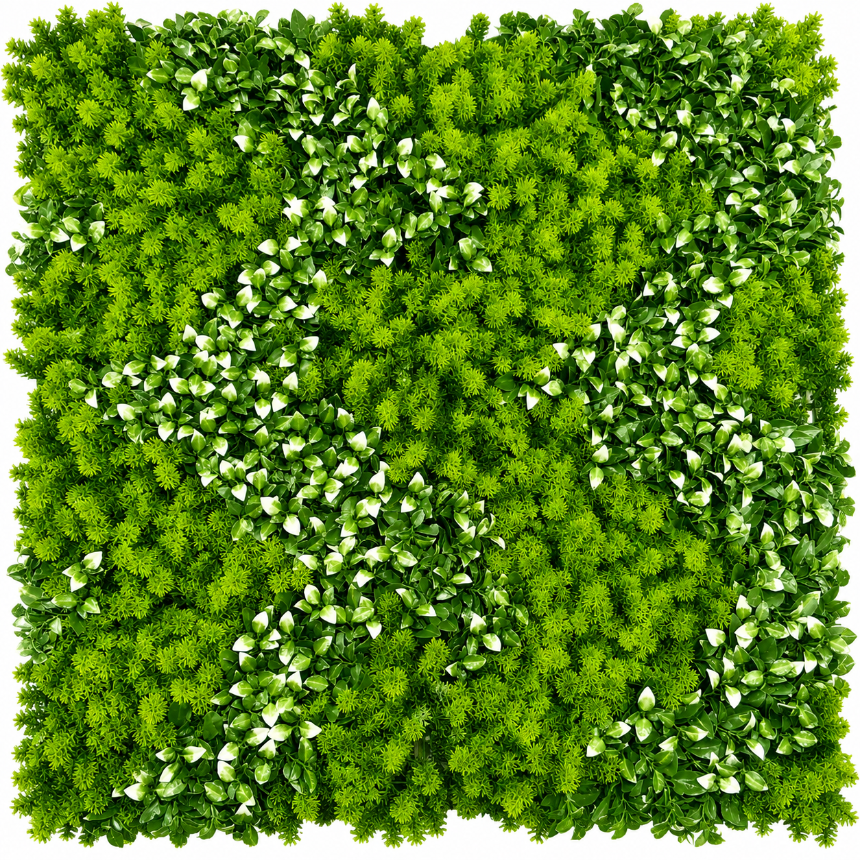 MUR VEGETAL : Eden Tropical Wall