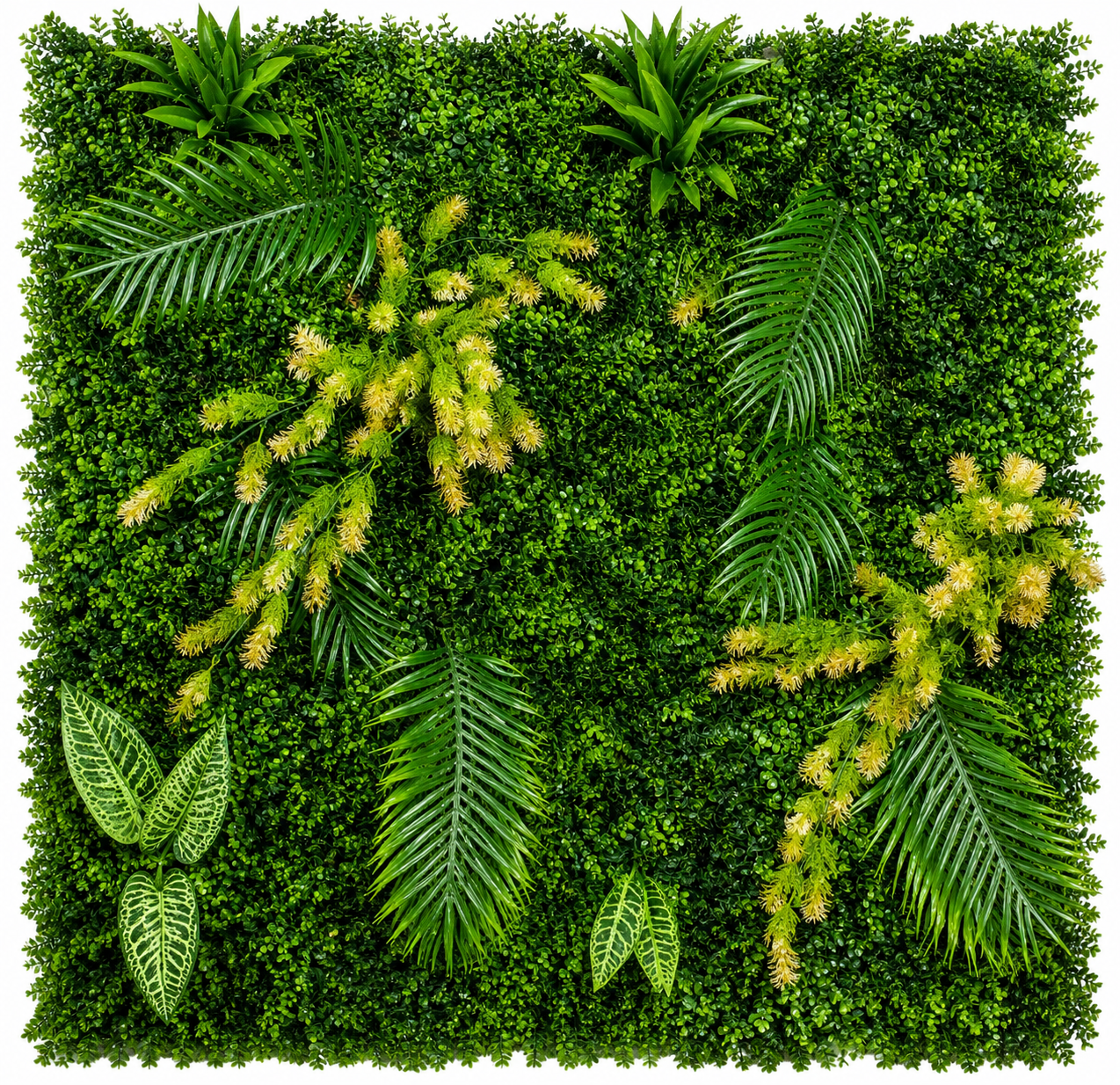 MUR VEGETAL : Green Palace Collection