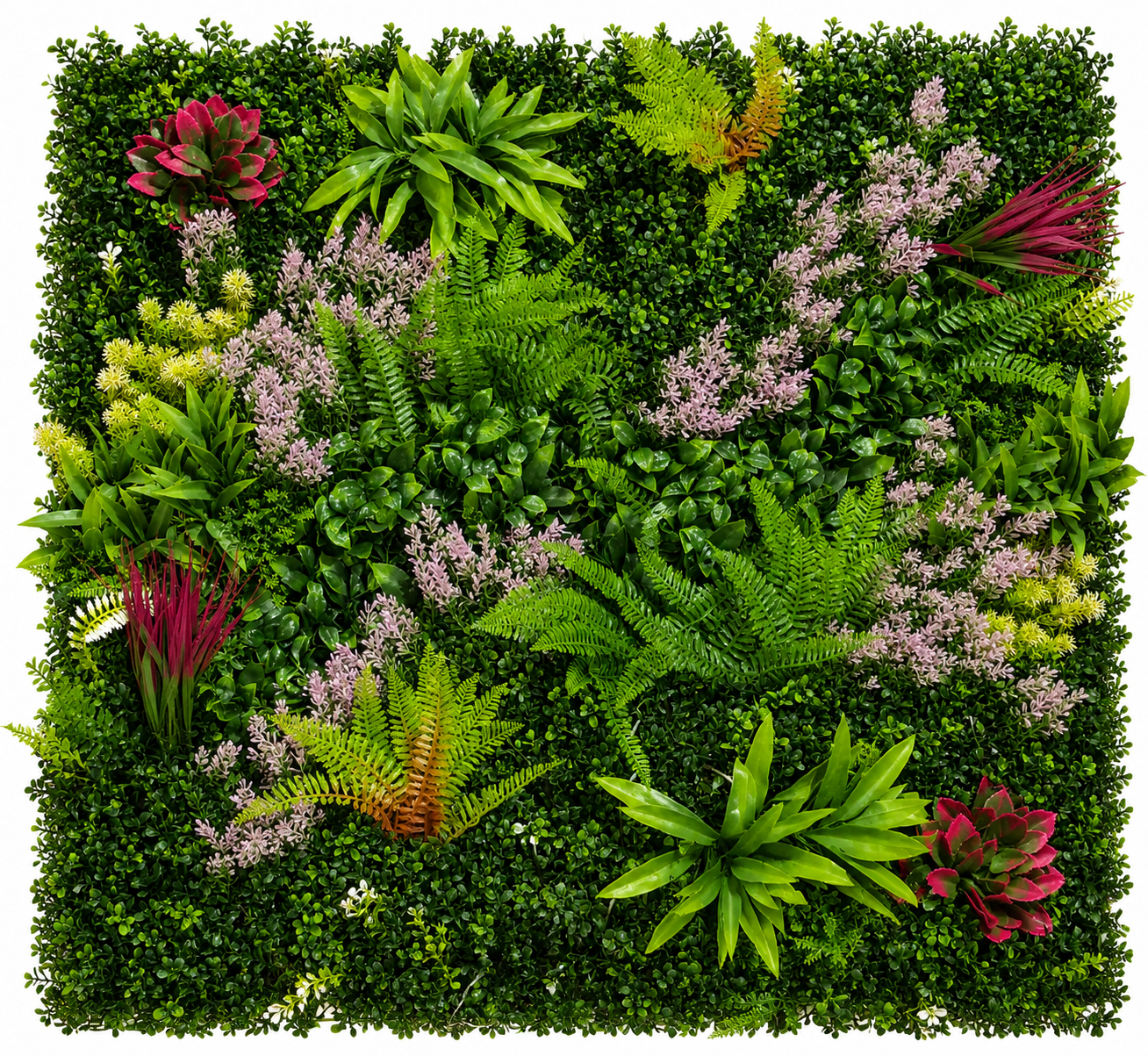 MUR VEGETAL Tropical Bloom Deluxe